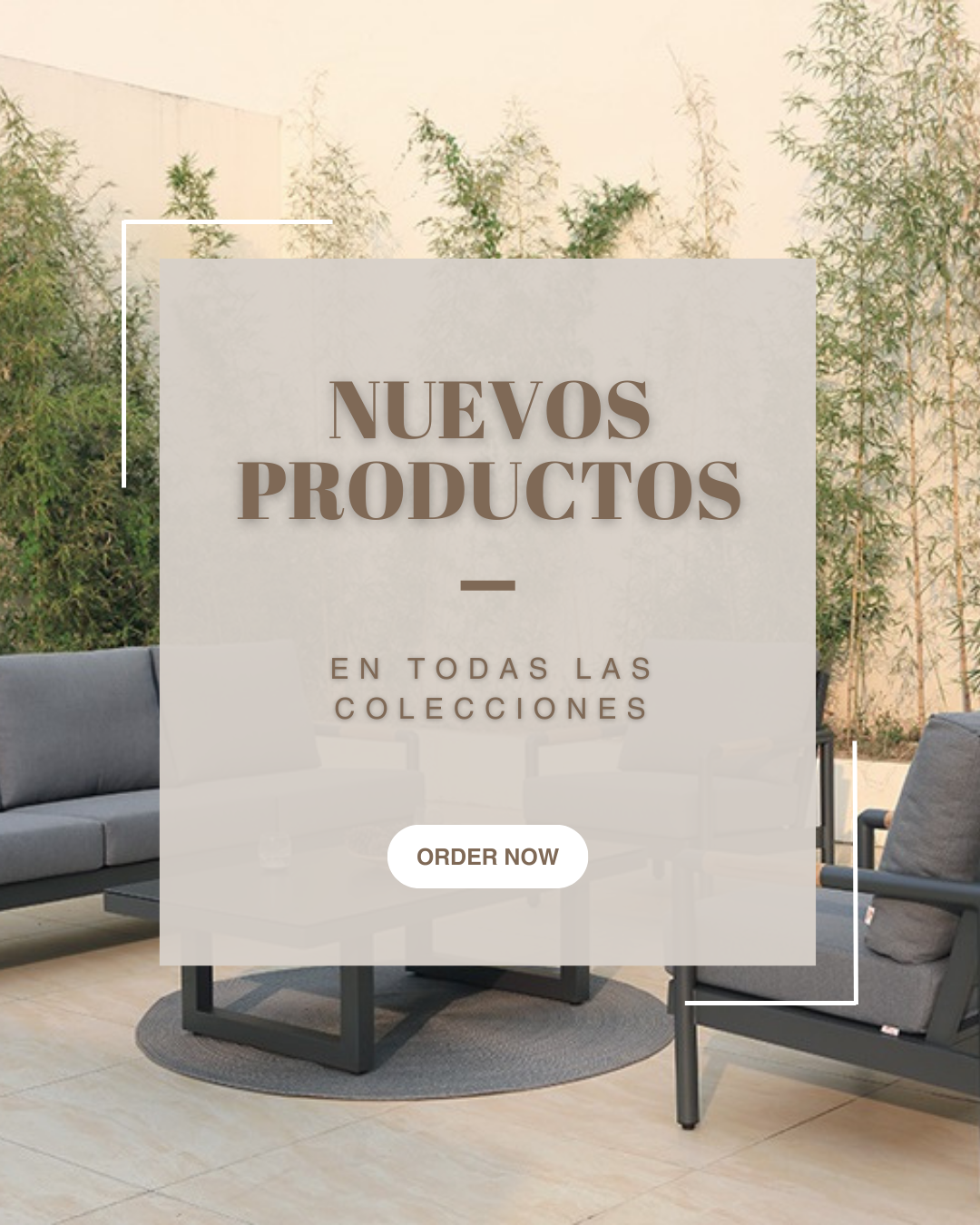 * Nuevos Productos!